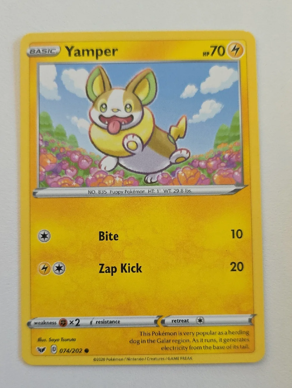 Pokemon Yamper And Boltund Trading Cards
